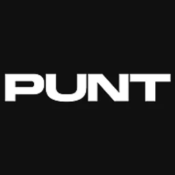 Punt.com logo